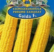 Seminte porumb zaharat Golda F1 
