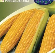 Seminte porumb zaharat Jubilee F1 