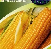 Seminte porumb zaharat MV Juliusi