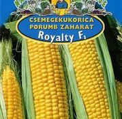 Seminte porumb zaharat Royalty F1 