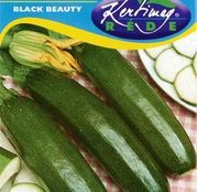 Seminte dovlecel zucchini Black Beauty 4g