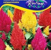 Seminte flori Creasta Cocosului (Celosia argentea plumosa) amestec de culori 0.5g