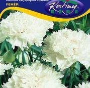 Seminte flori Garoafe Chabaud (Dianthus caryophyllus) albe 0.25g