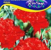 Seminte flori Garoafe Chabaud (Dianthus caryophyllus) rosii 0.25g