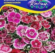 Seminte flori Garoafe chinezesti (Dianthus chinensis) amestec de culori 0,5g