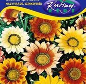 Seminte flori Gazanie (Gazania splendens) amestec de culori 0.25g