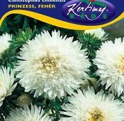 Seminte flori Ochiul boului (Callistephus chinensis) Princess - alb 1g