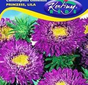 Seminte flori Ochiul boului (Callistephus chinensis) Princess - mov 1g