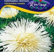 Seminte flori Ochiul boului (Callistephus chinensis) Strahlen alb 1g