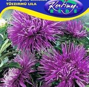Seminte flori Ochiul boului (Callistephus chinensis) Strahlen mov/albastru inchis 1g