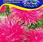 Seminte flori Ochiul boului (Callistephus chinensis) Strahlen roz 1g