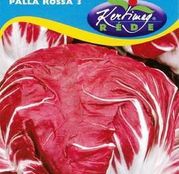 Seminte Radicchio - Cicoare Palla Rossa 3g