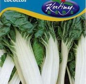 Seminte Mangold Lucullus 5g