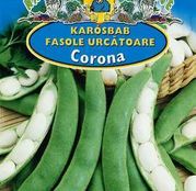 Seminte fasole Corona 50g