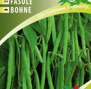 Seminte fasole Linera 100g