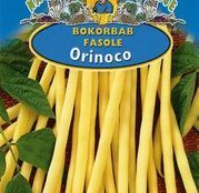 Seminte fasole Orinoco 50 g