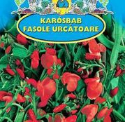 Seminte fasole Rotblühende 50g