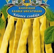 Seminte fasole Velence Csodája (Minunea Venetiei) 30g