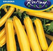 Seminte dovlecel zucchini Goldena 3g