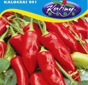 Seminte ardei Kalocsai 801 0.5g