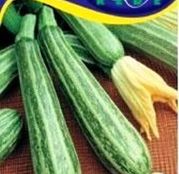 Seminte dovlecel zucchini Striato di Italia 3g