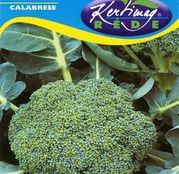 Seminte Broccoli Calabrese 2g