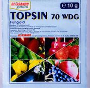 Fungicid tomate Topsin 70 WDG