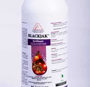 Ingrasamant Blackjak