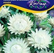 Seminte Flori de Paie (Helichrysum bracteatum) albe 1g