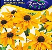 Seminte flori Rudbeckia (Rudbeckia hirta) Napfeny 