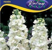 Seminte flori Mixandre (Matthiola incana) albe 0.50g