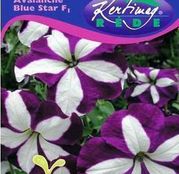 Seminte flori Petunii curgatoare (Petunia hybrida) Avalanche Blue star F1 - alb cu mov 50 seminte