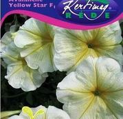 Seminte flori Petunii curgatoare (Petunia hybrida) Avalanche F1 Yellow star - galbene 50seminte