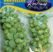 Seminte varza de Bruxelles Rosella 2g