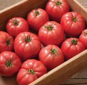 Seminte tomate roz Pink Wonder F1 (250 sem.)