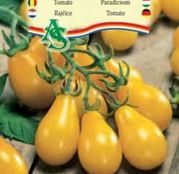 Seminte Tomate Yellow Pearshaped (2g)