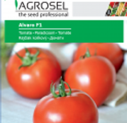 Seminte Tomate Alvaro F1 