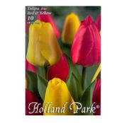 Bulbi de flori Lalele Duo Red & Yellow 10 buc