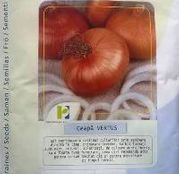 Seminte Ceapa Vertus 25g