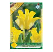 Bulbi de flori Lalele Yellow Crown 5 buc