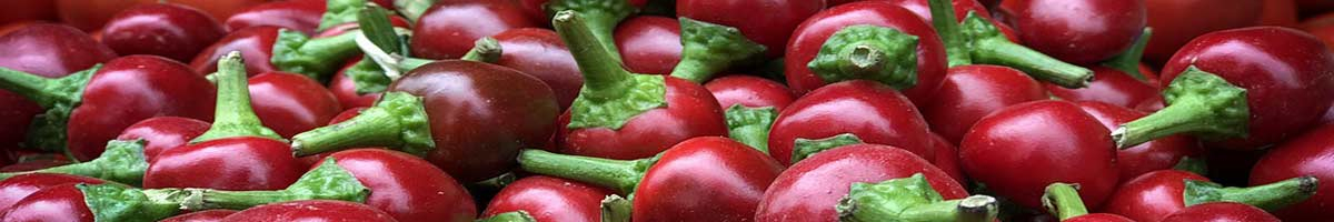 Seminte ardei Seminte ardei