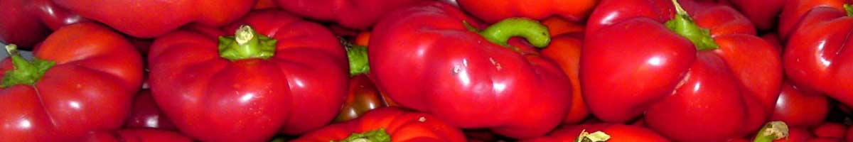 Seminte ardei gogosar Seminte ardei gogosar