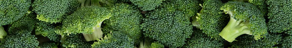 Seminte profesionale broccoli