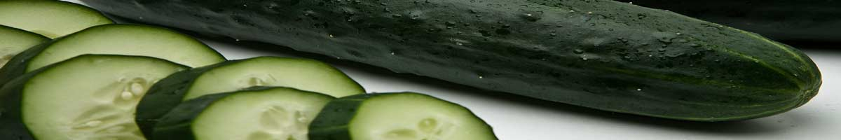 Seminte castraveti semi-lungi