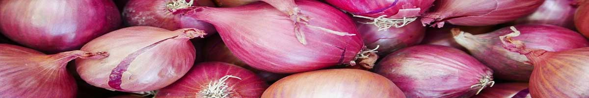 Seminte ceapa Seminte ceapa