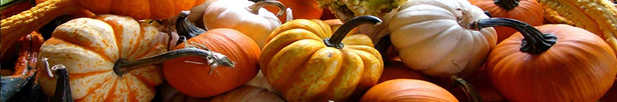 Seminte dovlecel si porumb ornamental