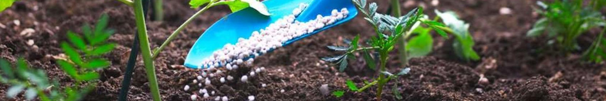 Ingrasaminte chimice tomate