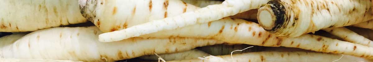 Seminte profesionale pastarnac Seminte profesionale pastarnac