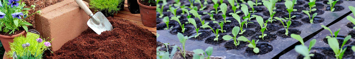 Turba si substrat Turba si substrat