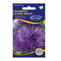 Seminte flori Ochiul boului (Callistephus chinensis) Unicum mov/albastru inchis 1g